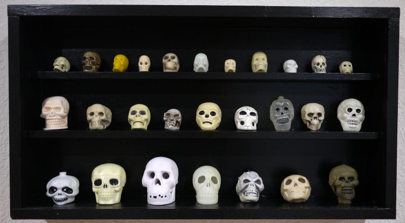 Skull Collection